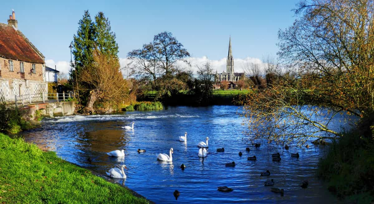 Salisbury Cathedral