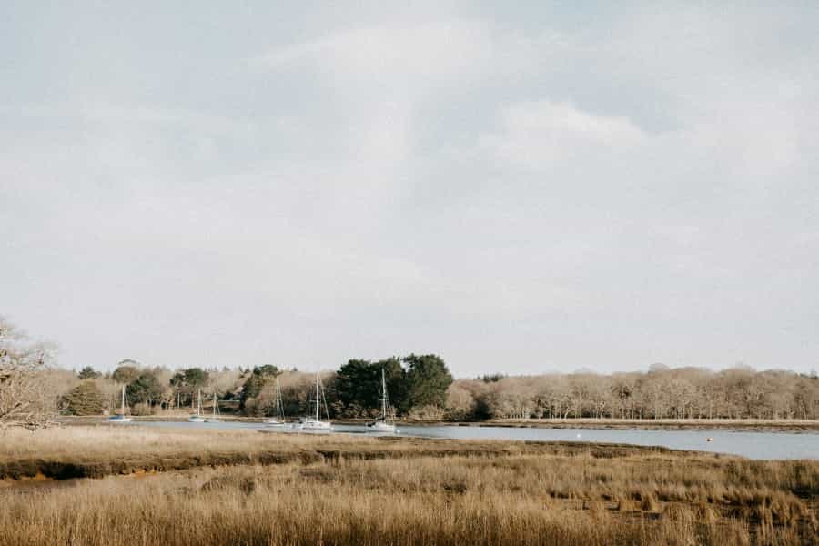 The New Forest has lots of river and coast activities as well as its famous woods and heaths (Annie Spratt/Unsplash)