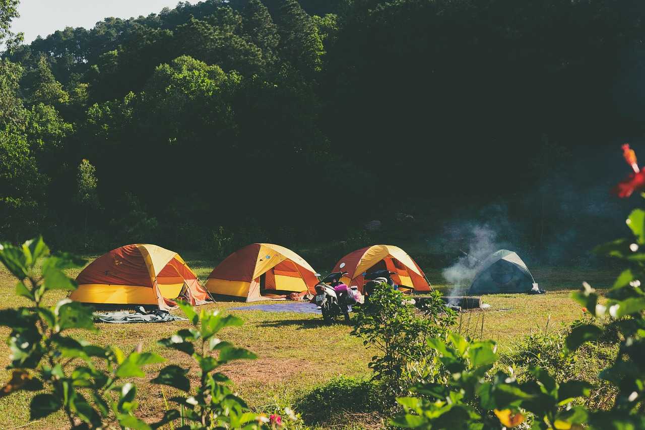 Image shows four organe tents in a line, in a meadow