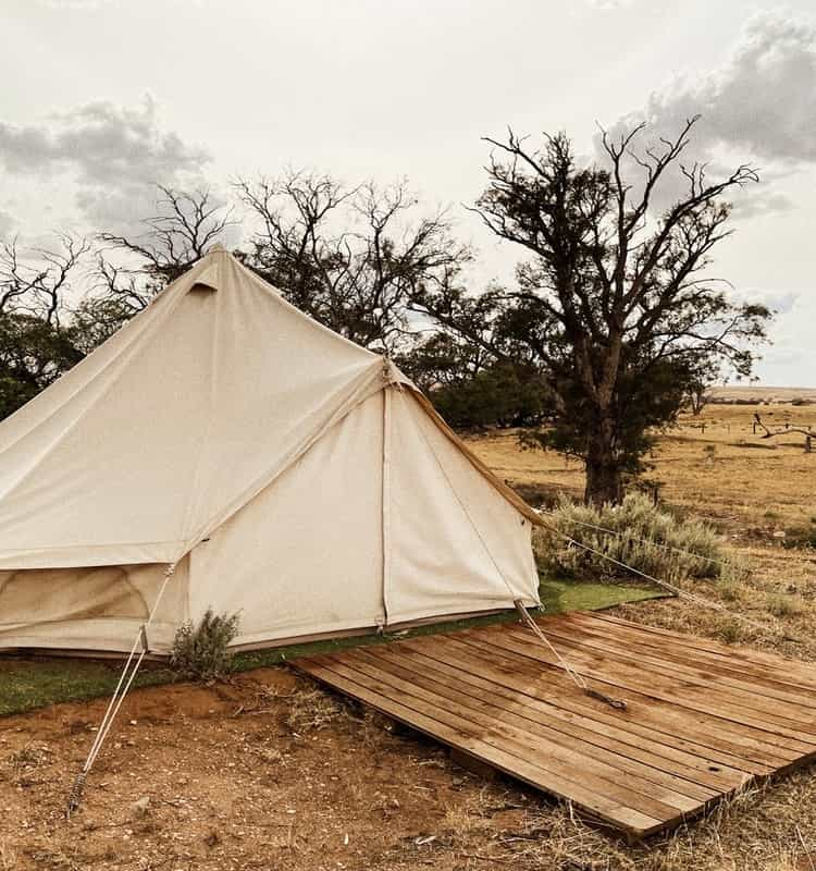 Canvas tents take longer to dry out than their synthetic counterparts (Raygar He / Unsplash)