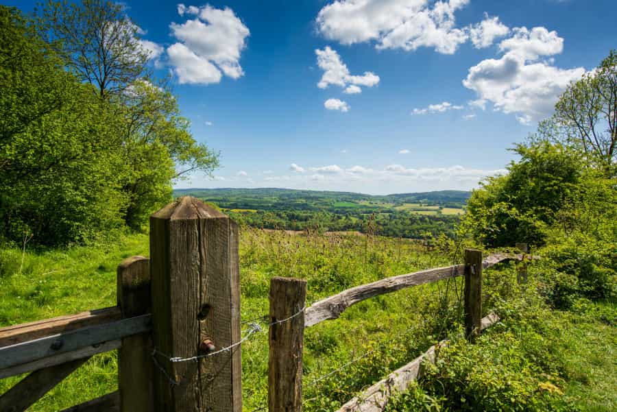 he Surrey Hills (Crispin Jones/Unsplash)
