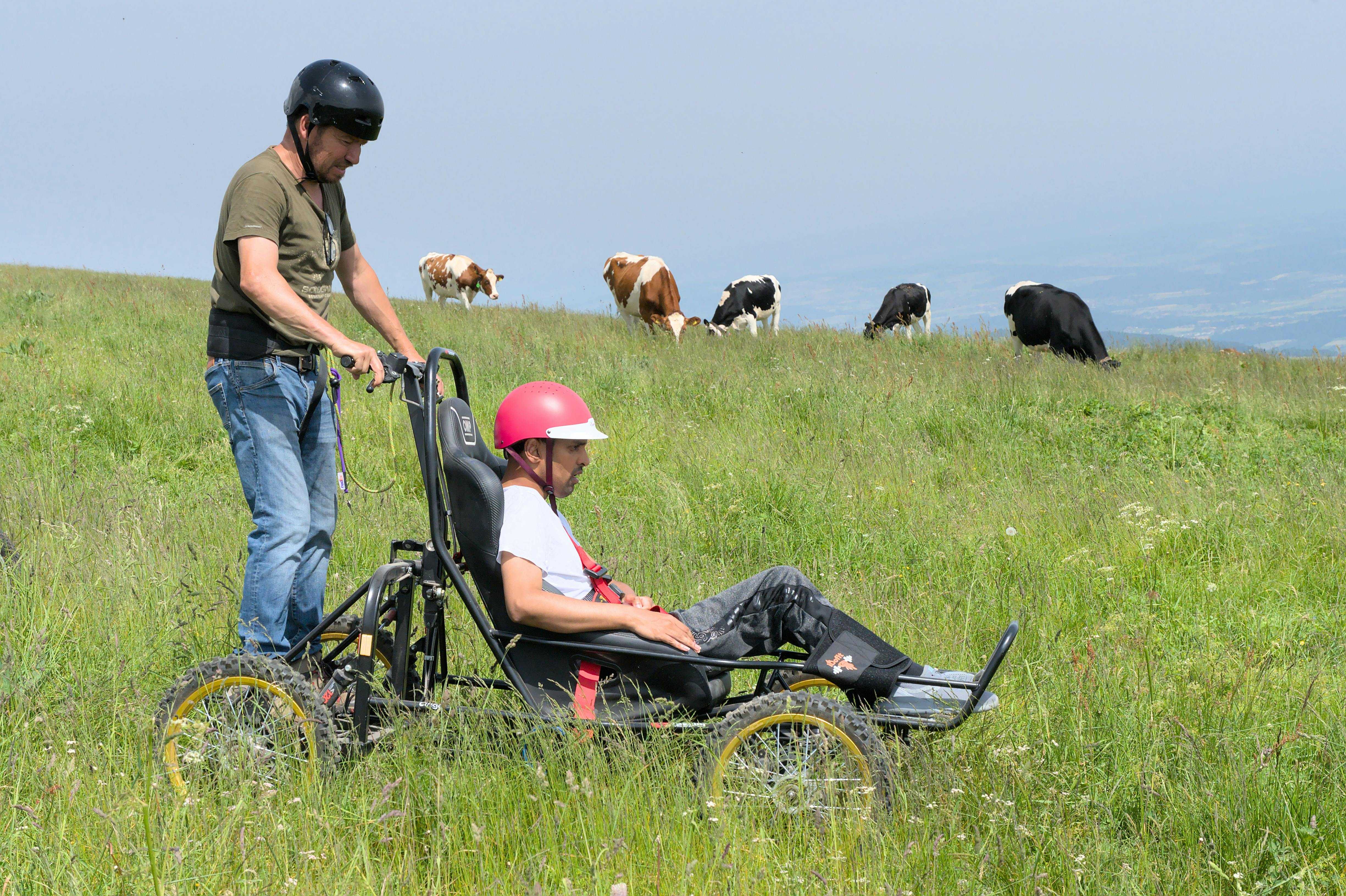 A man riding an accessible bike crosses a field of cows with his friend