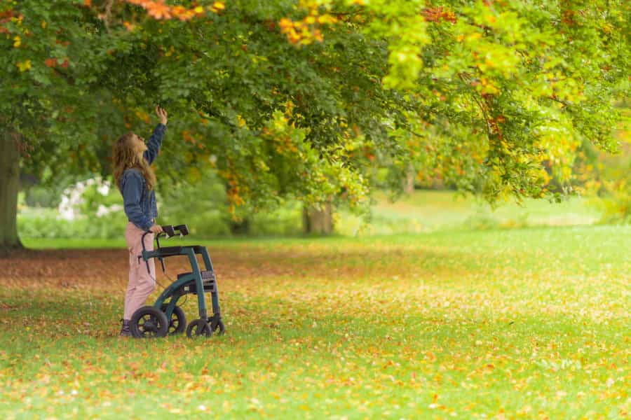 Explore accessible historic houses in Dartmoor (Rollz International/Unsplash)