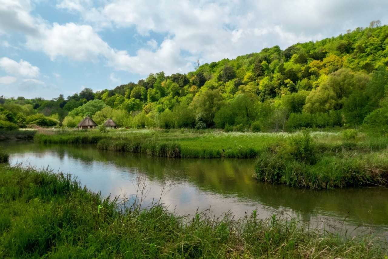 Countryside near Arundel (Nick Fewings/Unsplash)