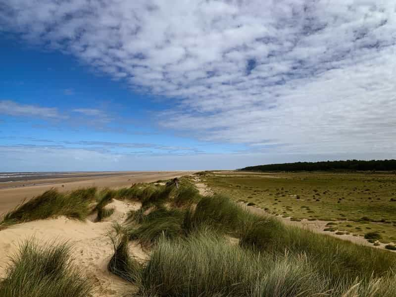 Holkham Beach (Archie Eke on Unsplash)