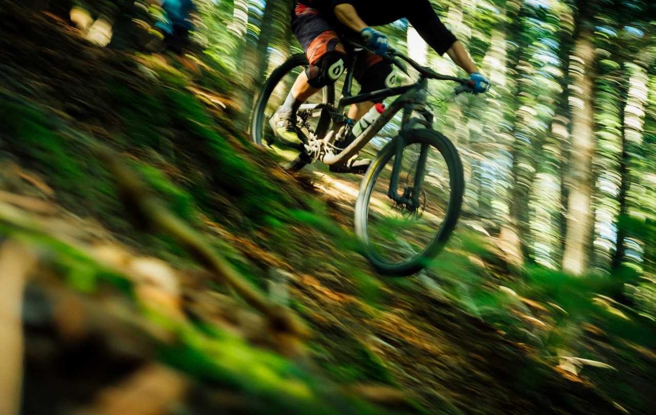 Mountain Biking in South Downs National Park Pitchup
