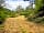 Henley Park Wild Camping