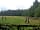 Wolford Wood