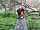 Haw Wood Caravan Park: Explore the local area