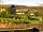 Western Meadows Glamping: Honeysuckle, Celadine and Campion safari tents. (photo added by manager on 10/10/2022)