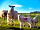 Grassington Campsite