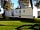 Cheverton Copse Holiday Park: Sunny days