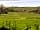 Pittaford Farm Holidays: View from grass campervan pitch