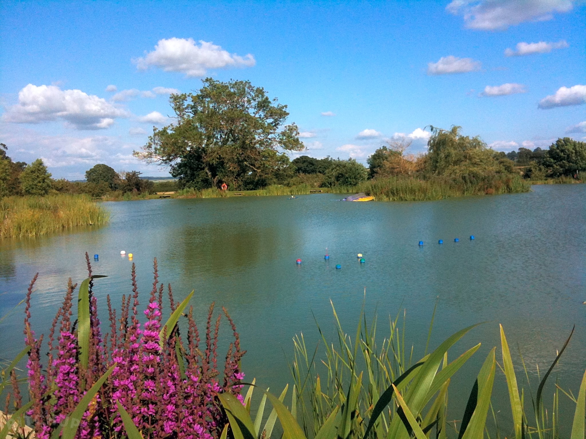 The Halfway Caravan and Camping Park, Yeovil Pitchup®