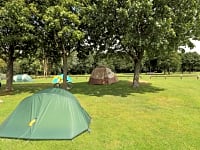 Camp in the sun or under the shades of trees Camp in the sun or under the shades of trees