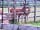 Apple Blossom Caravan and Camping Park