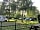 Long Hazel Park: Trees surrounding pitches