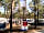 Parque Orbitur Sitava Milfontes: Camping area under the shade of trees