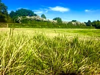 Sussex countryside at its best Sussex countryside at its best