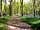 Barcdy Touring Caravan and Camping Park: A walk through the oak woodland (photo added by manager on 07/01/2015)