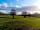 Broad Close Farm