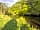 Riverside Caravan and Camping Park: View from Riverbank