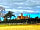 Cokes Farm: View (photo added by manager on 30/01/2023)