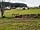 Cruachan Farm Caravan and Camping Park (foto añadida por el administrador el 28/04/2021)