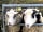 Elm Tree Farm: Barry and Malcolm