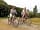 Læsø Camping: Family bike rides