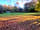 Postern Hill Campsite: Grass pitches