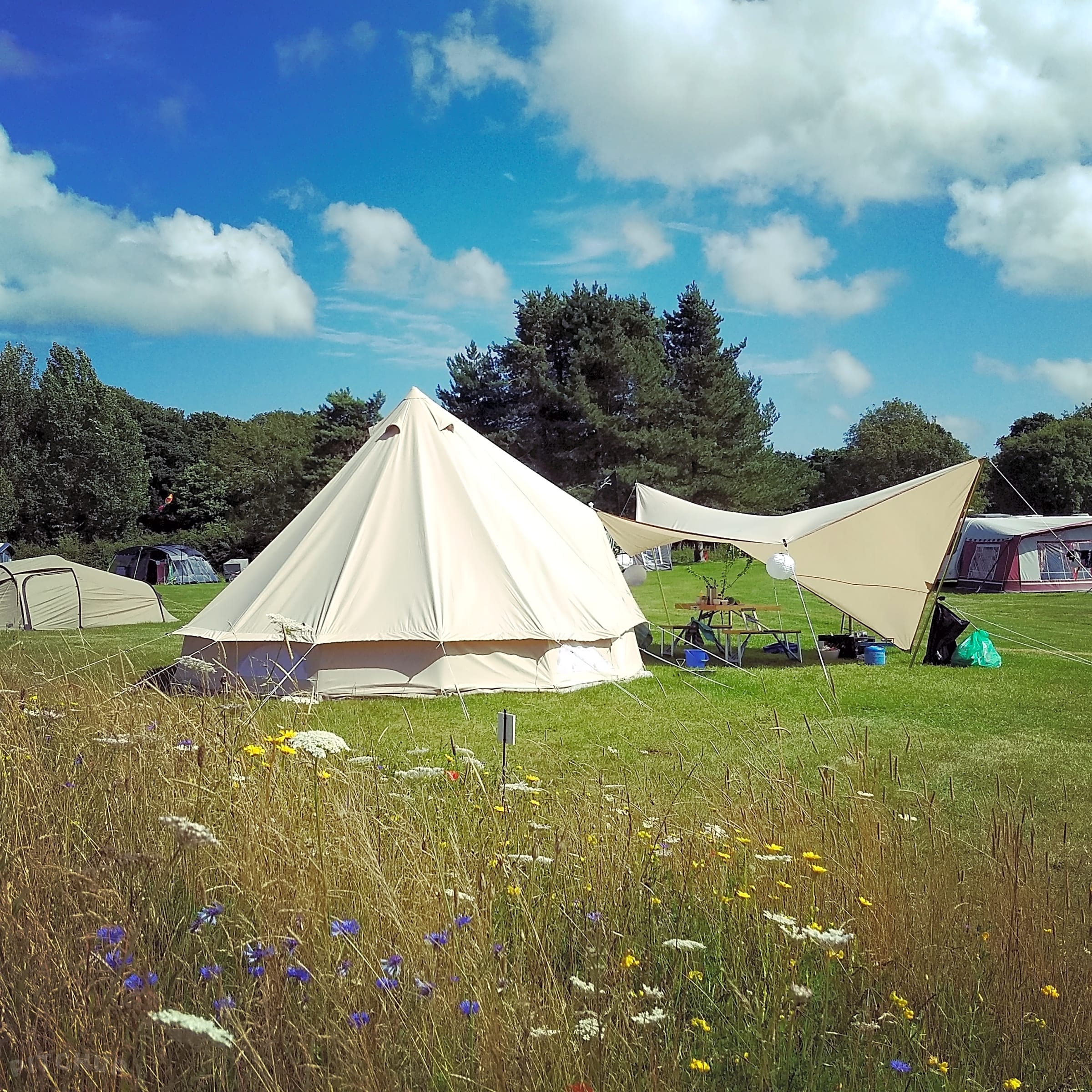 Ninham Country Holidays, Shanklin - Updated 2021 prices - Pitchup®