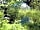 Natur-Camping Vulkaneifel