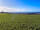 Sandparks Campsite: Sea view
