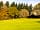 Bracelands Campsite: Non-electric grass pitches