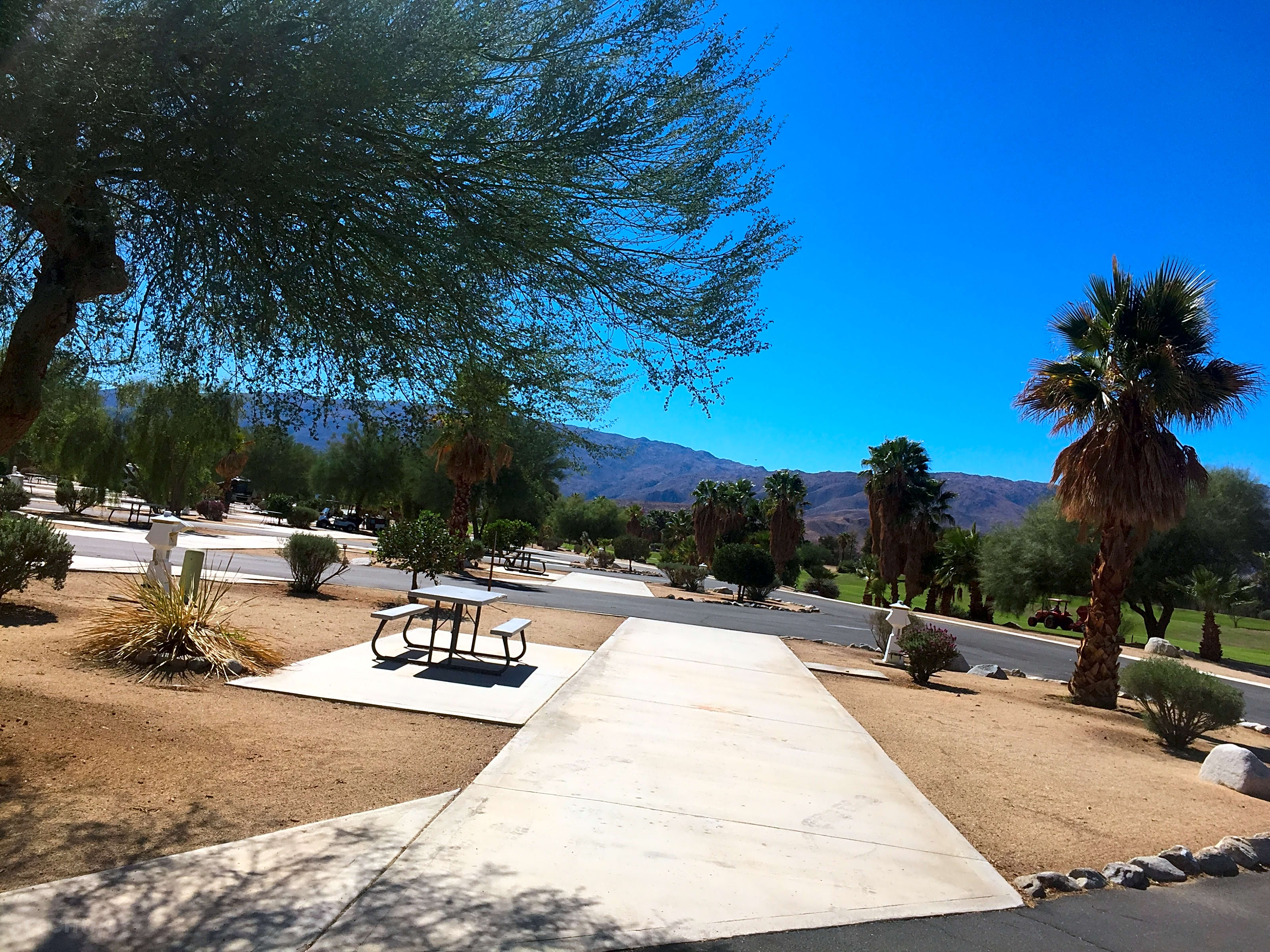 The Springs at Borrego RV Resort and Golf Course, Borrego Springs Updated 2020 prices Pitchup®