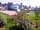 Camping La Forêt: Sunny pitch