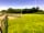 Dartmoor View: Field site