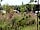 Vakantiepark 't Witven: Pitches (photo added by manager on 18/10/2021)