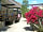 Camping La Garrofa: Around the site (photo added by manager on 01/07/2014)