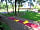Vakantiepark Het Timmerholt: Miniature golf