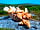 Langstone Manor Holiday Park: Croissants, pain au chocolate and baguettes available