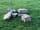 Pendle Prospects Wild Camping: Set in the Lancashire countryside
