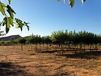 Parcel·la de graveta i arena amb aigua, llum i desguàs per a caravanes