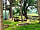 Minton Hill Pods: The pod site (photo added by  on 06/06/2022)