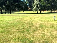 Spacious camping field Spacious camping field
