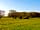 Clarefield Copse Wild Camping: Quiet field site (photo added by manager on 22/04/2019)