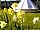 Brakehill Lodge Farm: Bell tent in spring
