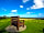 Trenewydd Farm: Giant bench with views to Cardigan Bay