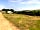 Torre View Farm: Field view